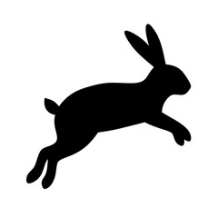 Jumping Rabbit: The Agile and Adorable Hopper