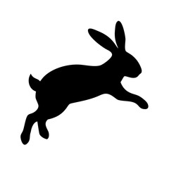 Jumping Rabbit: The Agile and Adorable Hopper