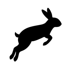 Jumping Rabbit: The Agile and Adorable Hopper