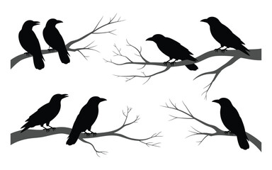 Black Crows Silhouettes on Grey Branches White Background Bird Illustration Set Ravens Wildlife Nature