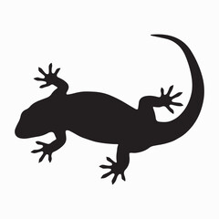 Salamander silhouette image Silhouette White background. 
