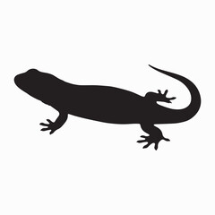 Salamander silhouette image Silhouette White background. 