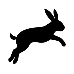Jumping Rabbit: The Agile and Adorable Hopper