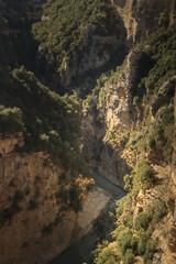 A majestic canyon bathed in warm golden hour light, featuring a winding river flowing between towering yellowish rock formations. The soft sunlight enhances the textures and colors of the rugged cliff