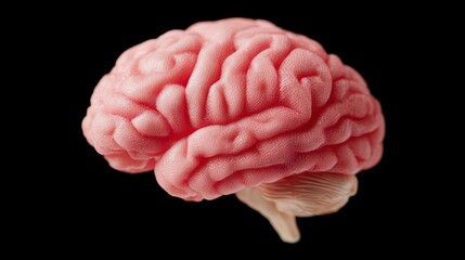Detailed model of a pink human brain with cerebellum on a black background