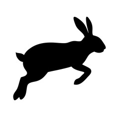 Jumping Rabbit: The Agile and Adorable Hopper
