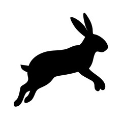 Jumping Rabbit: The Agile and Adorable Hopper
