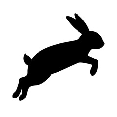 Jumping Rabbit: The Agile and Adorable Hopper