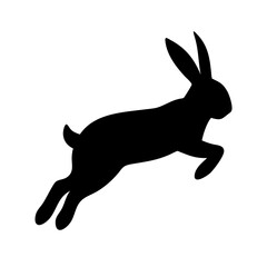 Jumping Rabbit: The Agile and Adorable Hopper