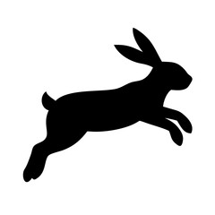 Jumping Rabbit: The Agile and Adorable Hopper