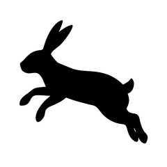 Jumping Rabbit: The Agile and Adorable Hopper