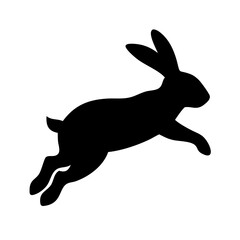 Jumping Rabbit: The Agile and Adorable Hopper