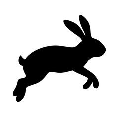 Jumping Rabbit: The Agile and Adorable Hopper