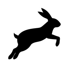 Jumping Rabbit: The Agile and Adorable Hopper