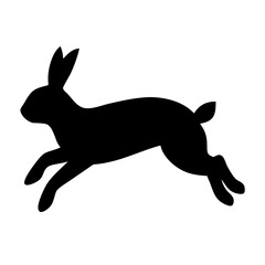 Jumping Rabbit: The Agile and Adorable Hopper