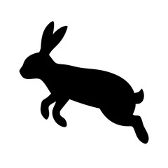 Jumping Rabbit: The Agile and Adorable Hopper