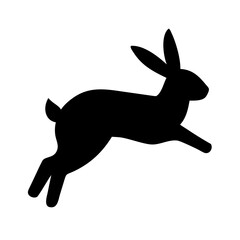 Jumping Rabbit: The Agile and Adorable Hopper