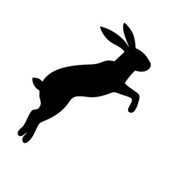 Jumping Rabbit: The Agile and Adorable Hopper
