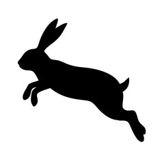 Jumping Rabbit: The Agile and Adorable Hopper