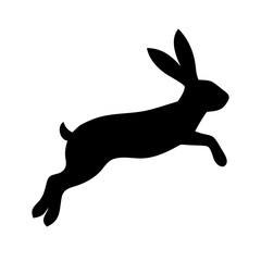 Jumping Rabbit: The Agile and Adorable Hopper