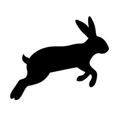 Jumping Rabbit: The Agile and Adorable Hopper