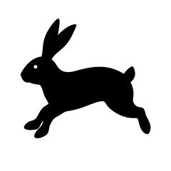 Jumping Rabbit: The Agile and Adorable Hopper