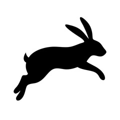 Jumping Rabbit: The Agile and Adorable Hopper