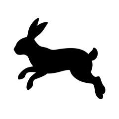 Jumping Rabbit: The Agile and Adorable Hopper