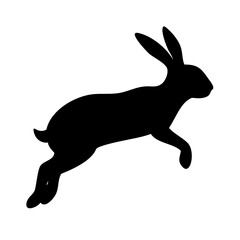 Jumping Rabbit: The Agile and Adorable Hopper