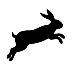 Jumping Rabbit: The Agile and Adorable Hopper