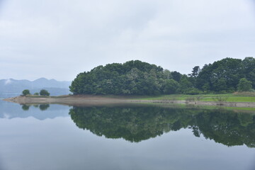 A quiet forest reflecting perfectly in a still lake, capturing the tranquility of Korean countryside
