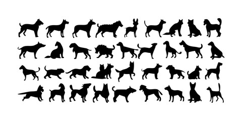 silhouettes of dog