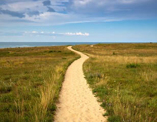 Sandy path leading to ocean
