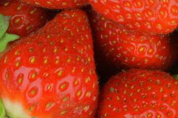 Macro shot of ripe red strawberries on a black backdrop. Ripe strawberries on a black stone backdrop. Close-up and view from above