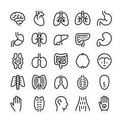 Collection of Black and White Line Art Human Organ Icons Depicting Brain Heart Lungs Stomach Intestines Kidneys Liver Ribcage and More Anatomical Illustrations for Medical