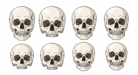 Anatomically Correct Human Skulls – Hand-Drawn Line Art Vector Illustration Set Isolated on White