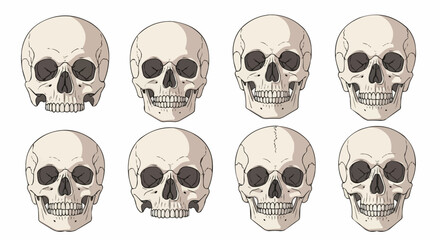 Anatomically Correct Human Skulls &ndash; Hand-Drawn Line Art Vector Illustration Set Isolated on White