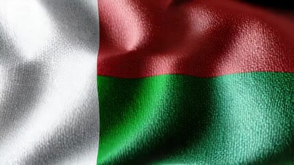 The silk flag of Madagascar displayed proudly, its colors of red, green, and white symbolizing the nation's independence during celebrations.