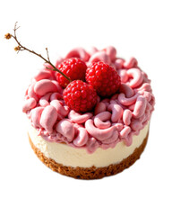 Raspberry Cheesecake Dessert with Whipped Cream and Floral Garnish
