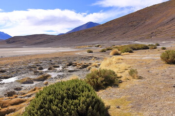 Laguna Honda, salt lake in the altiplano of Bolivia