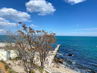 Fototapeta premium Landscape of coastal trees in spring that have not had time to cover themselves with green leaves against the background of floating snow-white clouds.