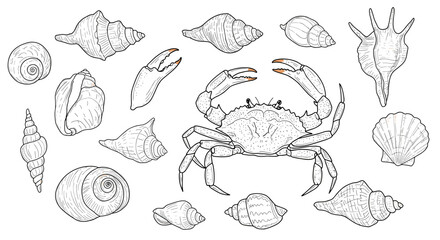 Detailed crab and seashell collection in black and white line art style