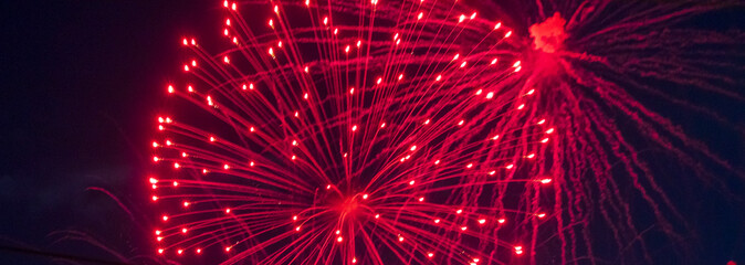 Shot of the fireworks in the night sky. Celebration