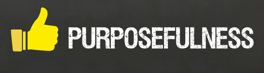 Purposefulness	
