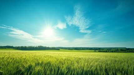 Fototapeta premium Tranquil Countryside Scene with Vibrant Green Field and Blue Sky