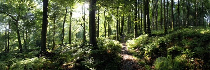 Obraz premium Tranquil Woodland Escape: A Sun-dappled Forest Path Through Lush Green Trees and Whispering Leaves
