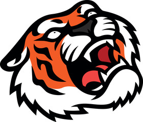 Head of a Fainted Tiger Illustration