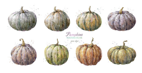 Colorful watercolor pumpkin set. Helloween element. Pumpkins composition. Digital illustration.	