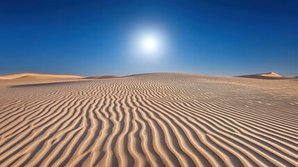 Naklejka premium Vast desert landscape with rippled sand dunes under bright sun, creating serene atmosphere