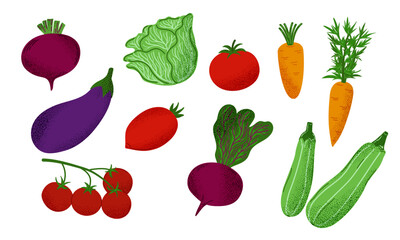 Set of isolated textured vegetables on white background. Hand-drawn eggplant, carrot, tomato, beet, lettuce, and zucchini. Clipart for healthy food design and kitchen decor.